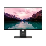 Picture of Lenovo ThinkVision  Monitors  T24-40 24 inch FHD Monitor with Eyesafe