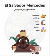 Picture of CoffeeHolics Salvador Mercedes 250 G