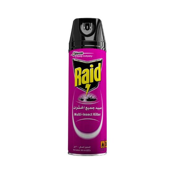 Picture of Raid Insecticide 300ml - Pack of 48